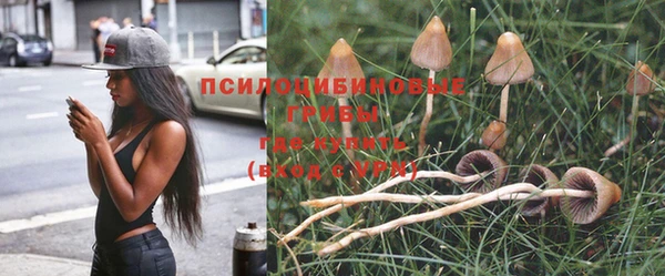 ECSTASY Абаза