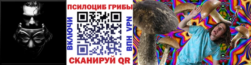 магазин продажи   Тырныауз  Псилоцибиновые грибы ЛСД 